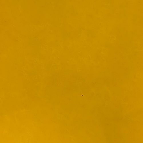 Colour Woodfree — Colour Woodfree Gold