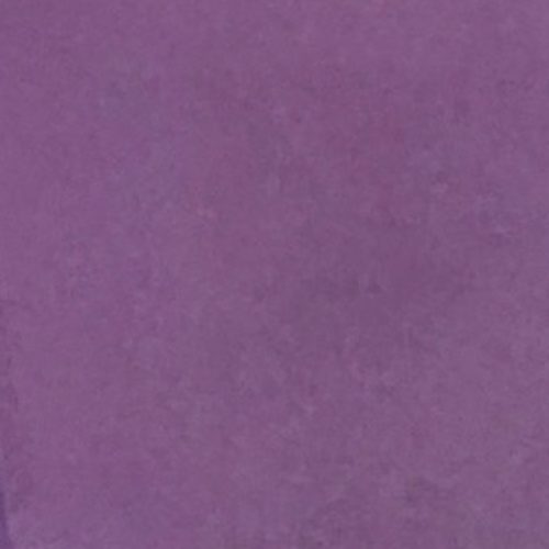 Colour Woodfree — Colour Woodfree Taro