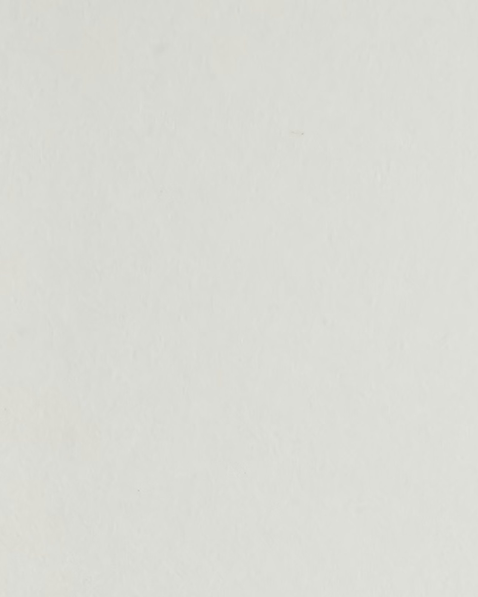 Japanese Ivory