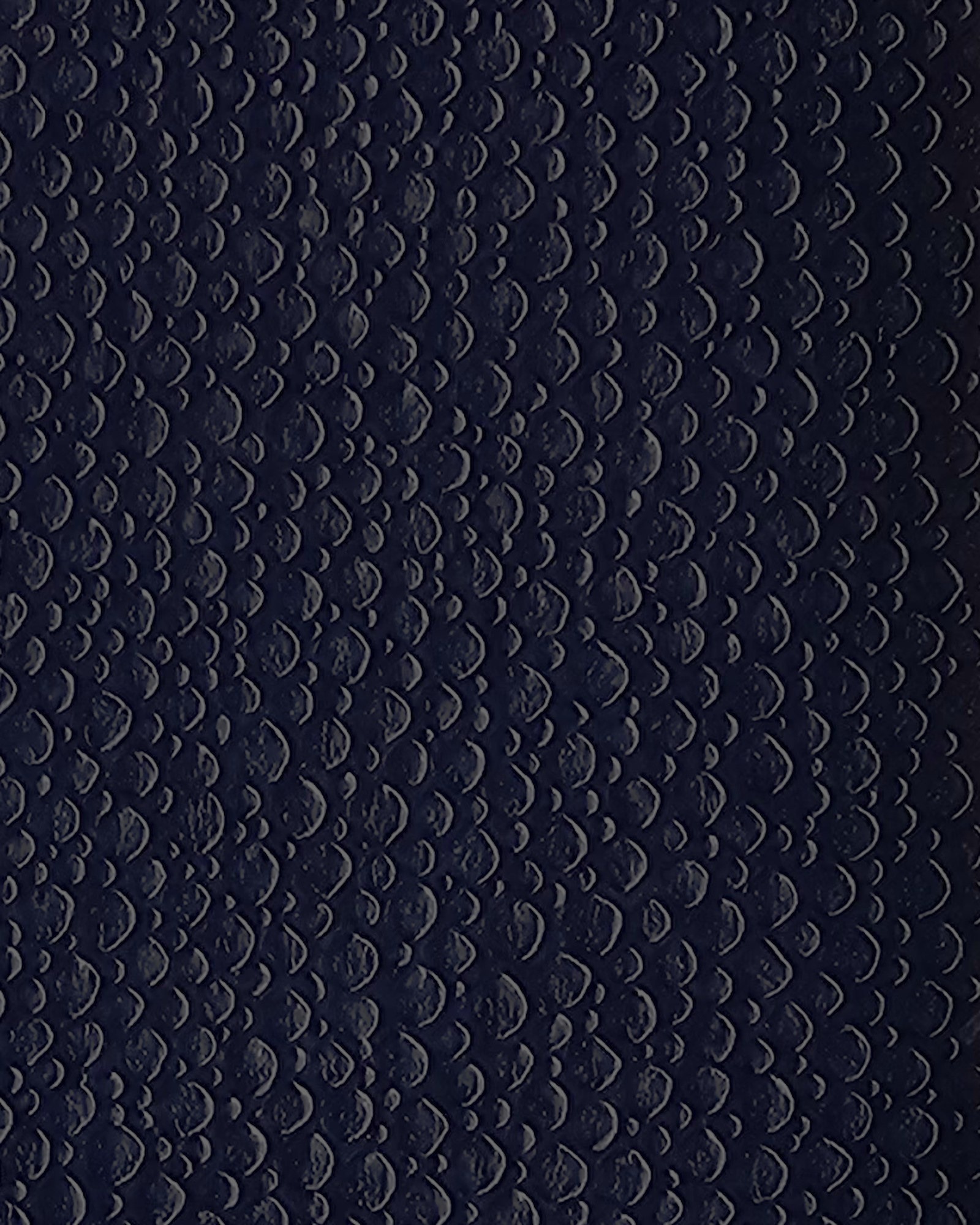 Stingray — Blue