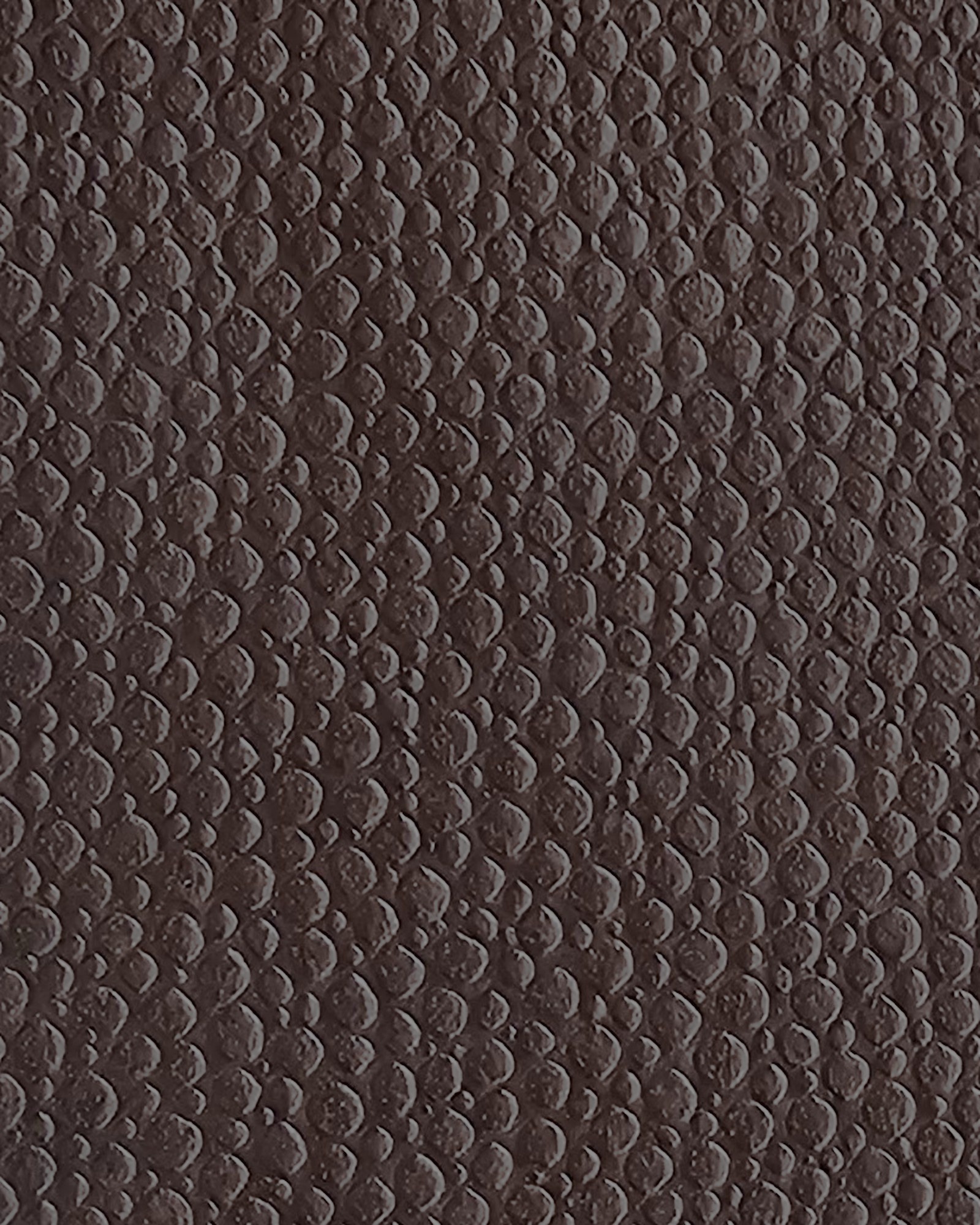 Stingray — Brown