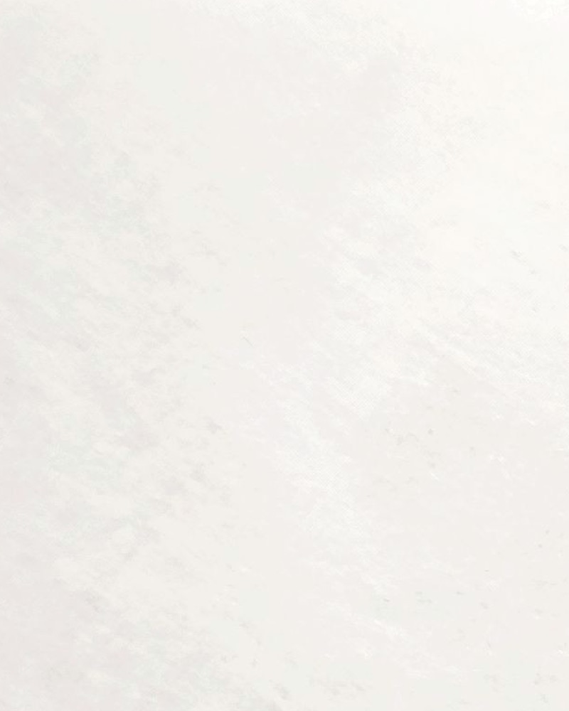 Tyvek 1073B